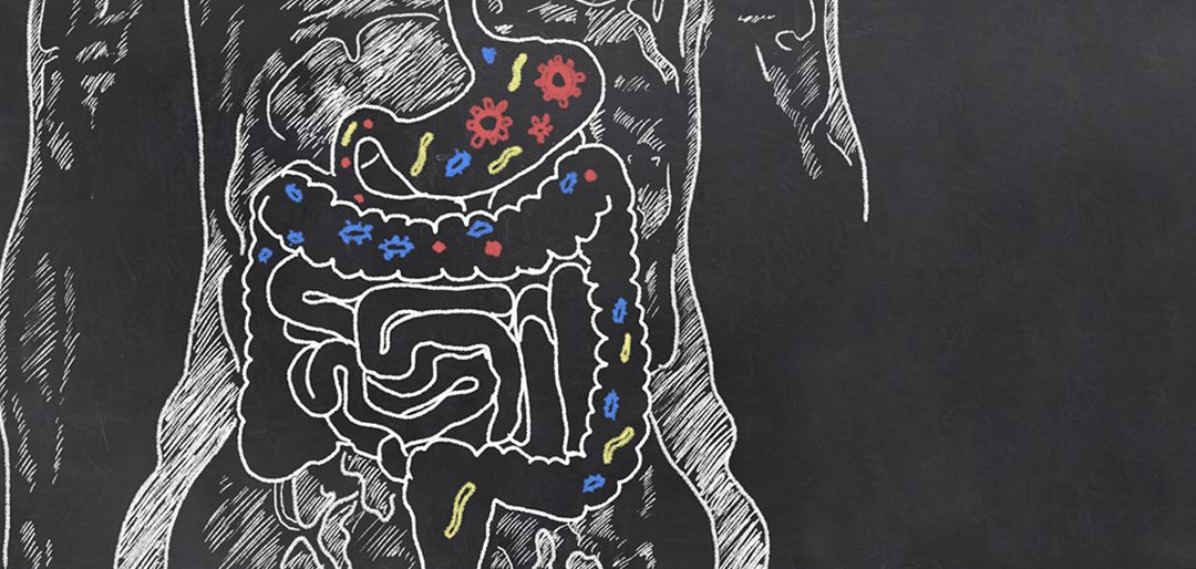 2017 Gutsy Learning Series