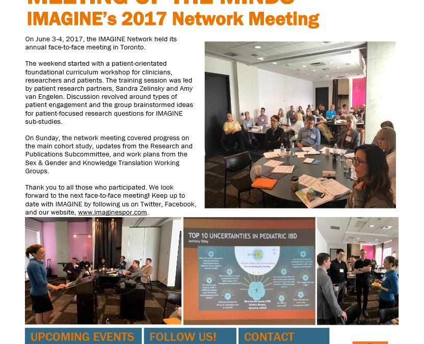 IMAGINE Network Newsletter #2