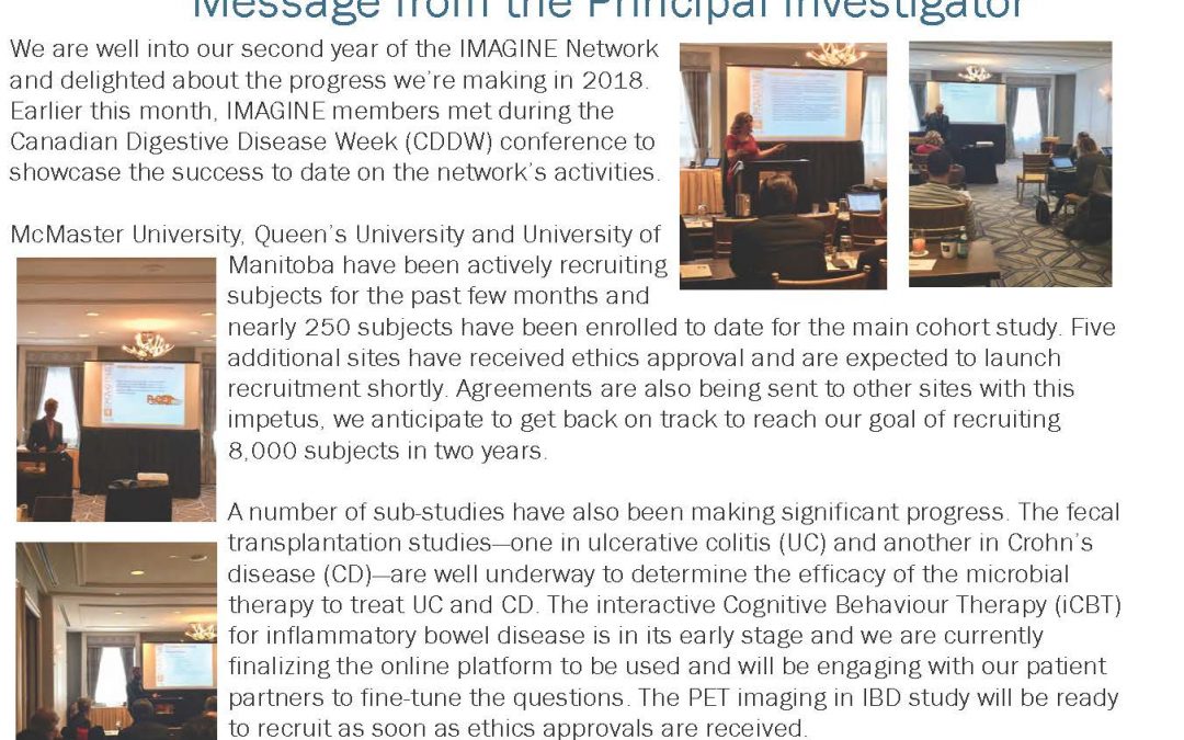 IMAGINE Network Newsletter #4