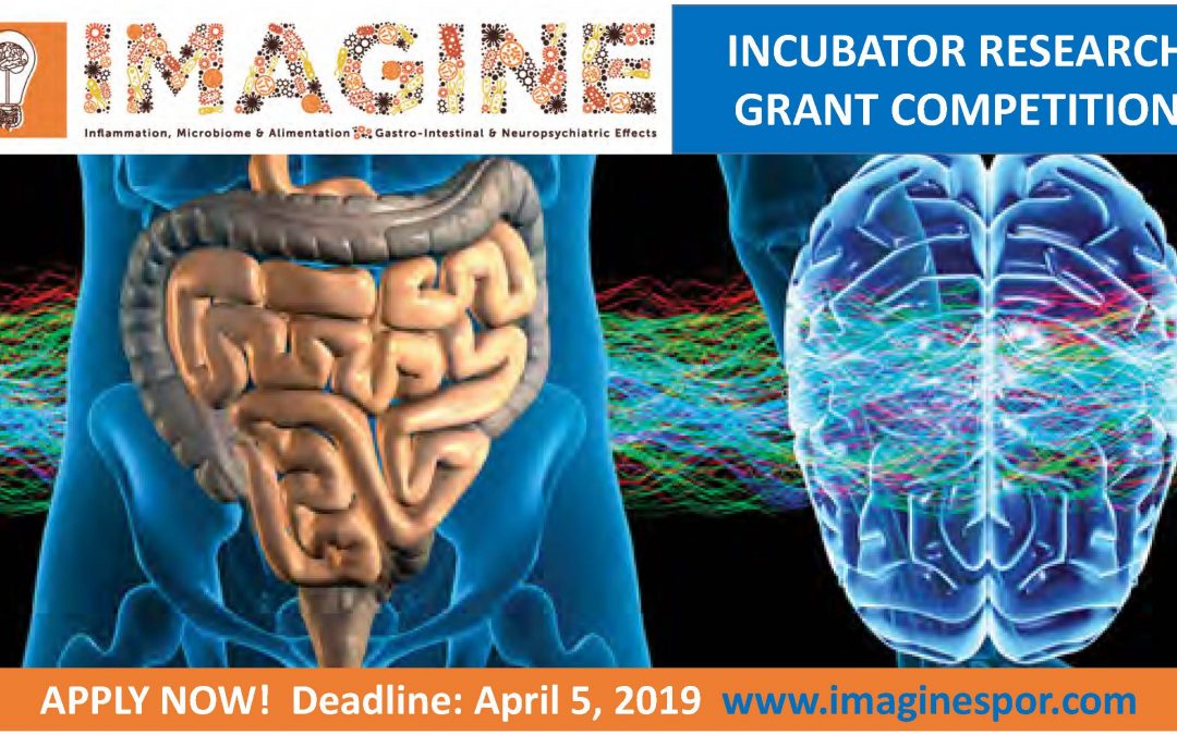 Announcing IMAGINE’s Incubator Grantees!