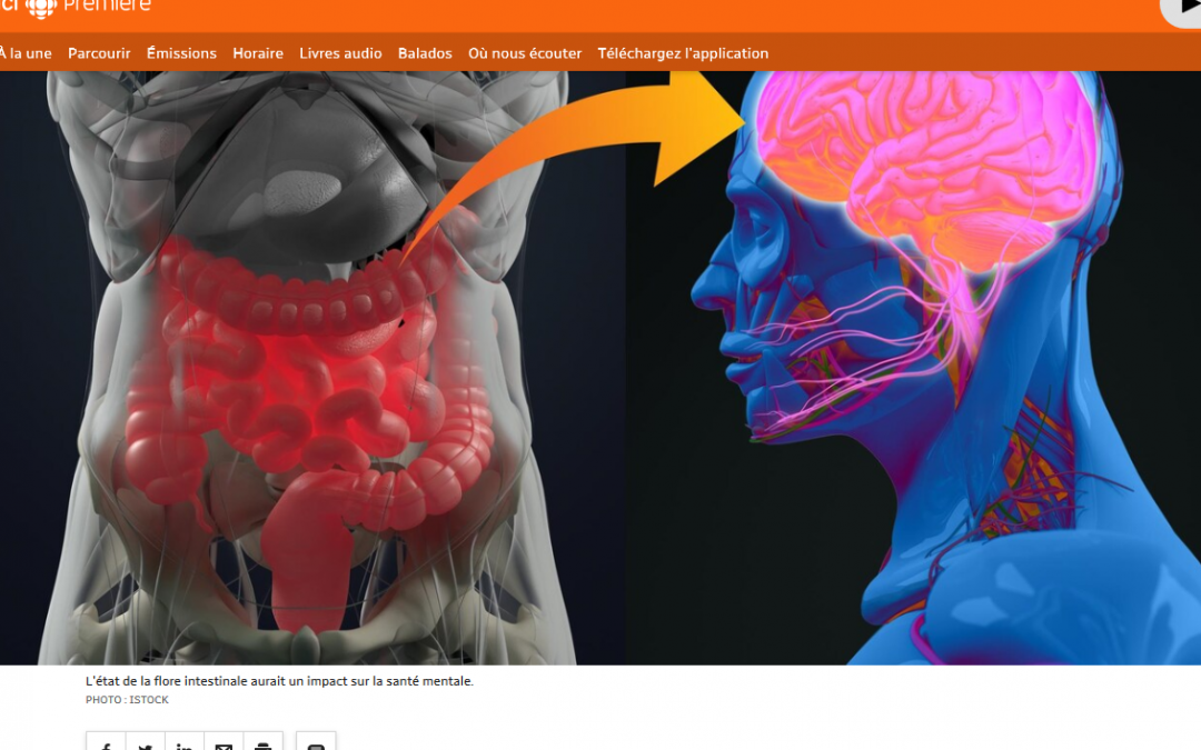 IMAGINE on Radio- Canada (French)