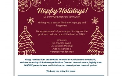 IMAGINE Newsletter #27