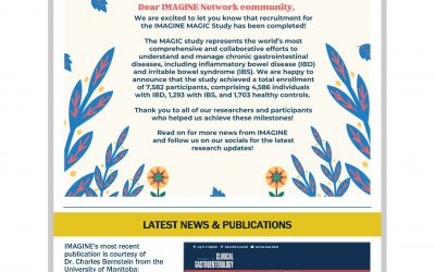 IMAGINE Newsletter #28